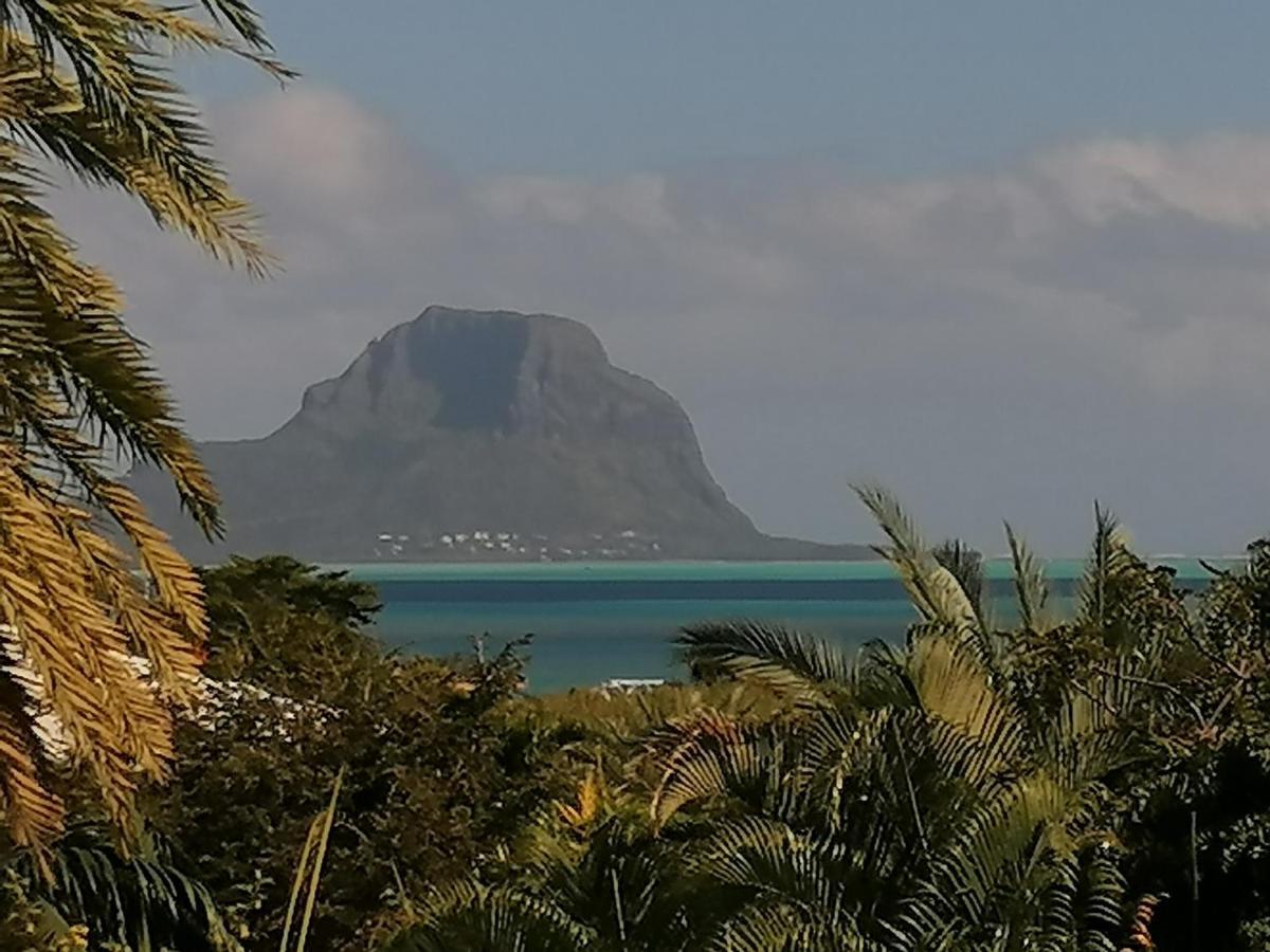 Terre Et Mer - Studios - Ile Maurice Rivière Noire エクステリア 写真